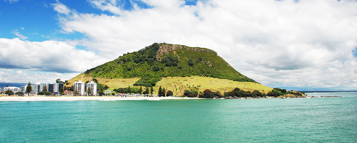 Tauranga Airport Faeture Image Mount Maunganui