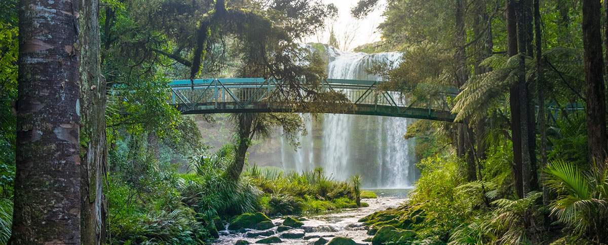 Whangarei Feature Landscape